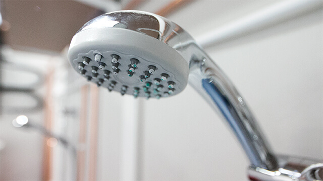 Shower head within the Legionella practical area.